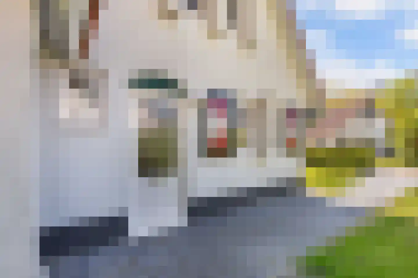 Het Bosmeer 63 Noordwolde thumbnail 38