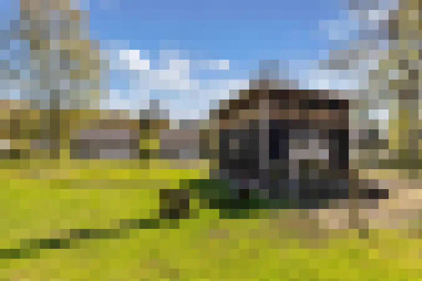 Het Bosmeer 63 Noordwolde thumbnail 5