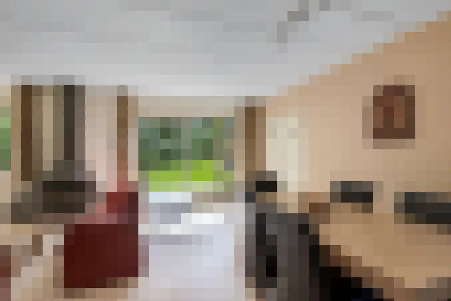 Het Bosmeer 63 Noordwolde thumbnail 9