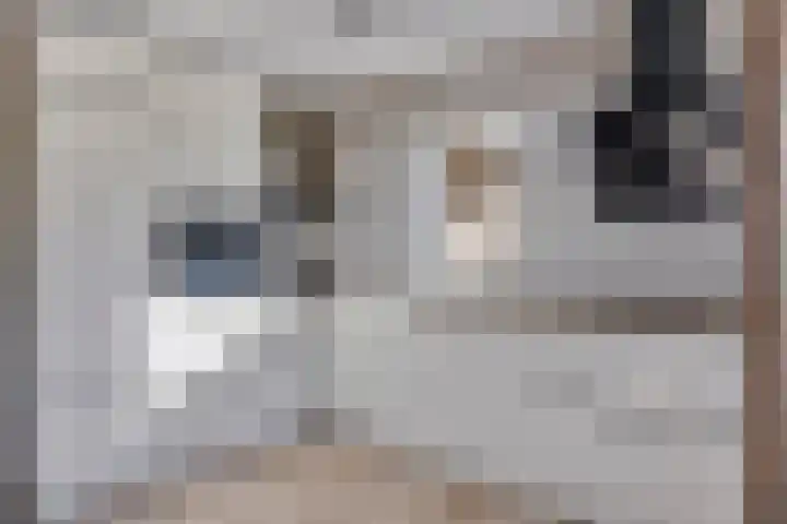 Het Bosmeer 70 Noordwolde thumbnail 10