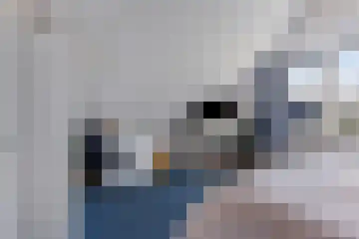 Het Bosmeer 70 Noordwolde thumbnail 18