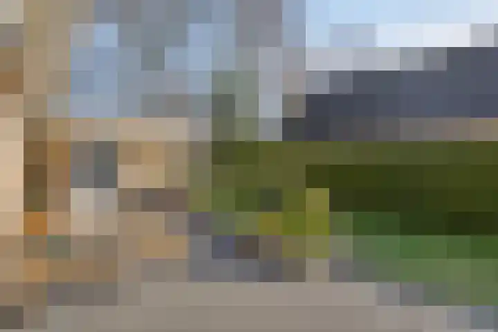 Het Bosmeer 70 Noordwolde thumbnail 22