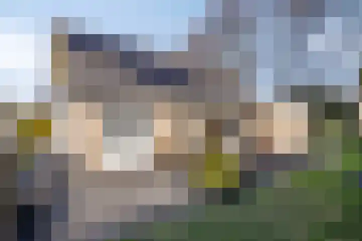 Het Bosmeer 70 Noordwolde thumbnail 23