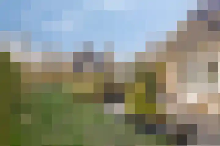 Het Bosmeer 70 Noordwolde thumbnail 24