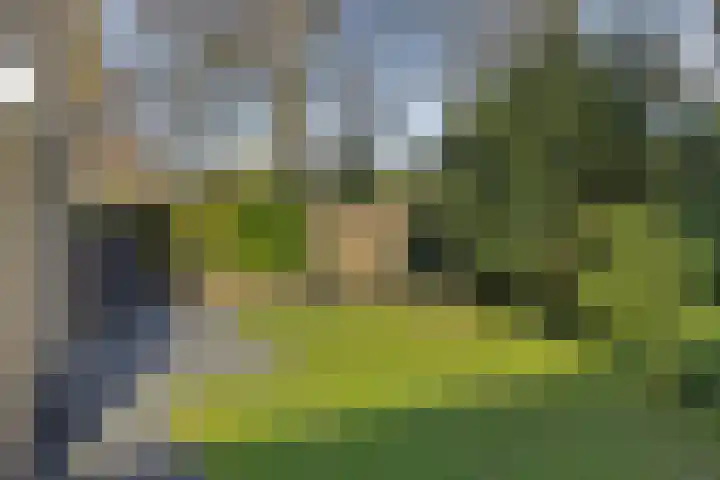 Het Bosmeer 70 Noordwolde thumbnail 25