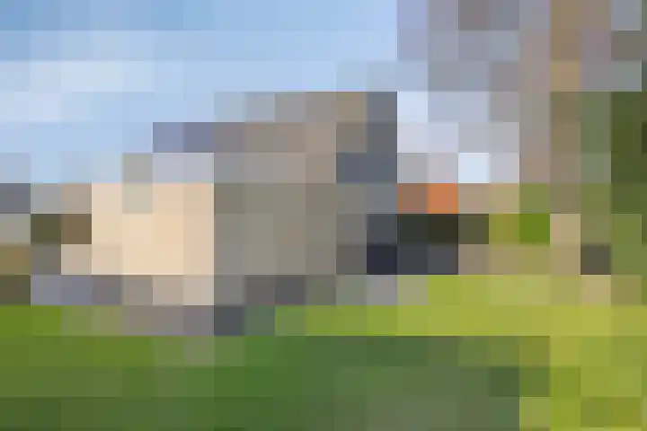 Het Bosmeer 70 Noordwolde thumbnail 26