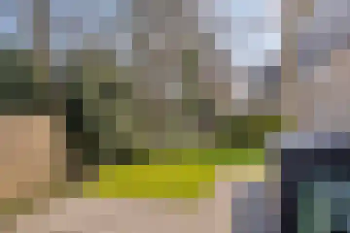 Het Bosmeer 70 Noordwolde thumbnail 27
