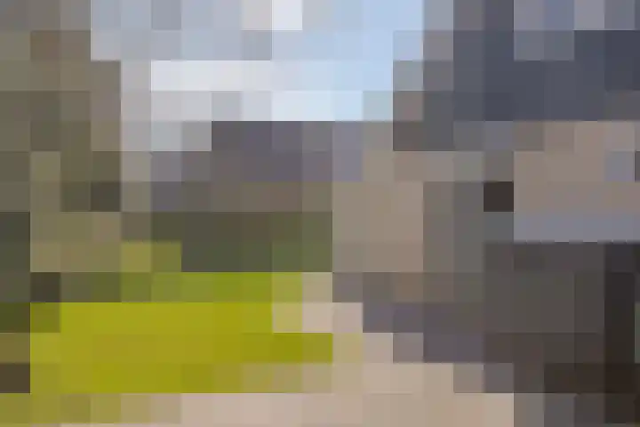 Het Bosmeer 70 Noordwolde thumbnail 28