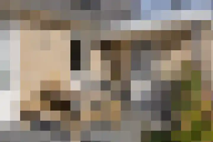Het Bosmeer 70 Noordwolde thumbnail 29