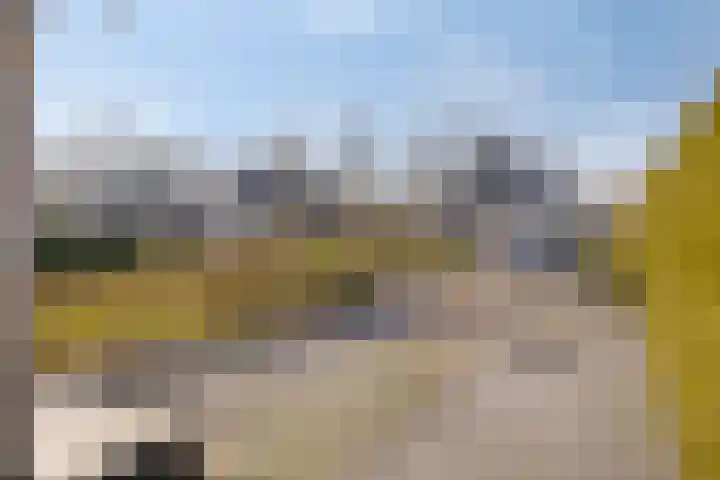 Het Bosmeer 70 Noordwolde thumbnail 31