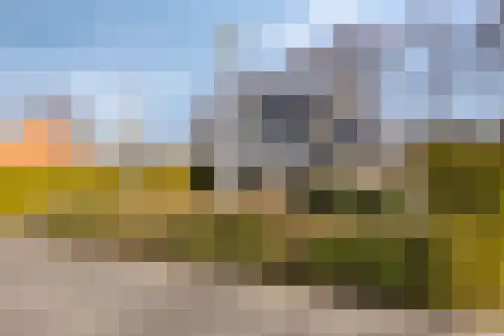 Het Bosmeer 70 Noordwolde thumbnail 32