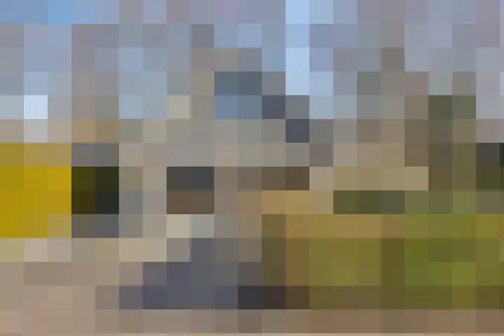 Het Bosmeer 70 Noordwolde thumbnail 33