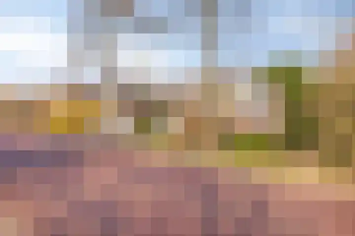 Het Bosmeer 70 Noordwolde thumbnail 34