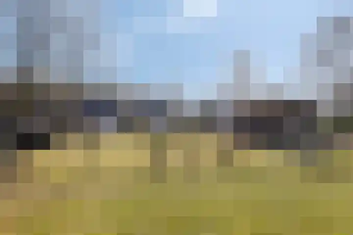 Het Bosmeer 70 Noordwolde thumbnail 35