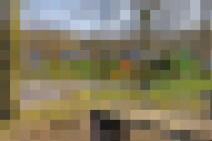 Het Bosmeer 70 Noordwolde thumbnail 36