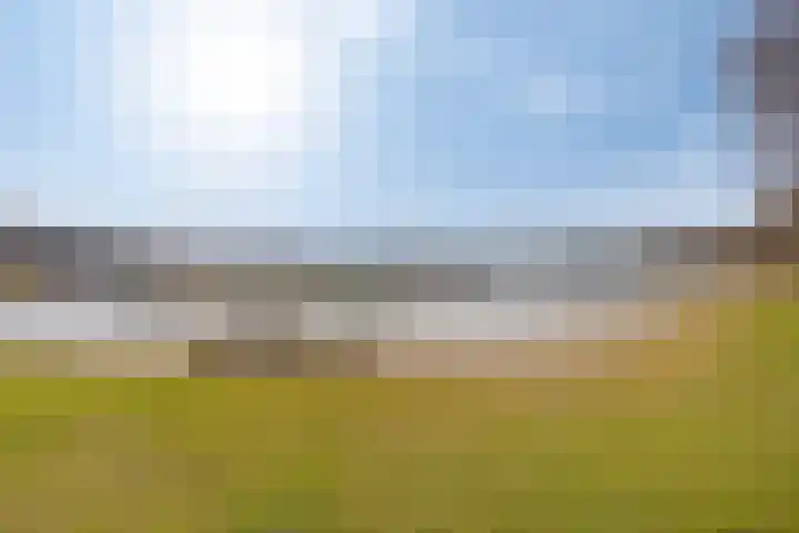 Het Bosmeer 70 Noordwolde thumbnail 38