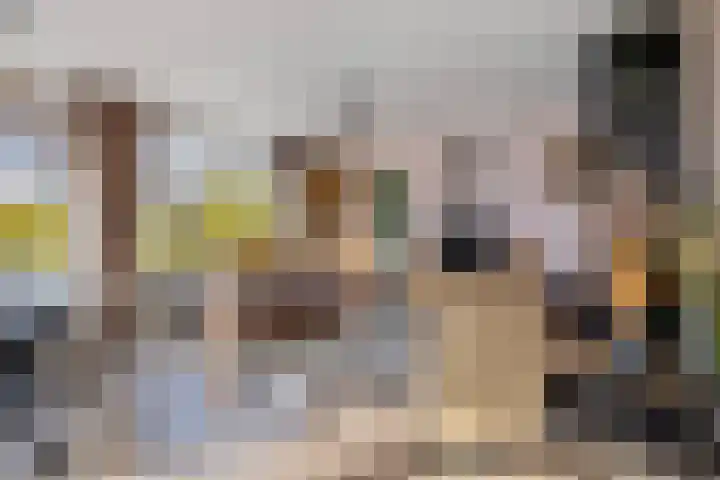Het Bosmeer 70 Noordwolde thumbnail 5