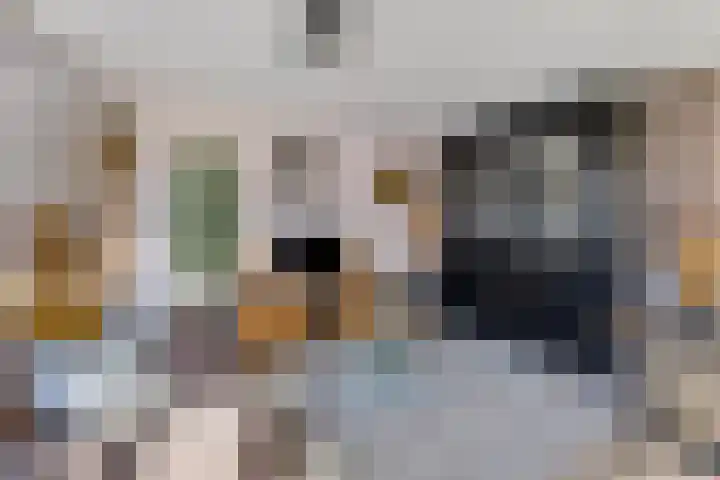 Het Bosmeer 70 Noordwolde thumbnail 6
