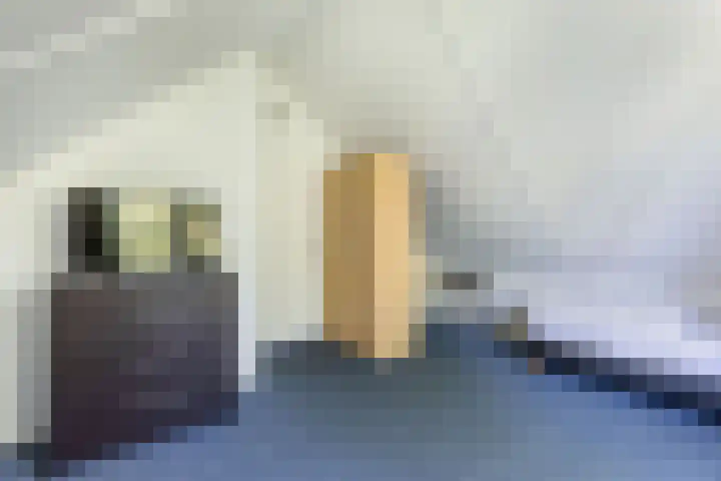 Het Bosmeer 72 Noordwolde thumbnail 30