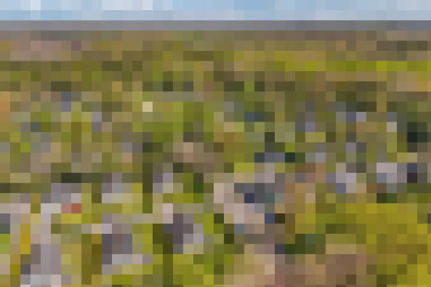 Het Bosmeer 72 Noordwolde thumbnail 41
