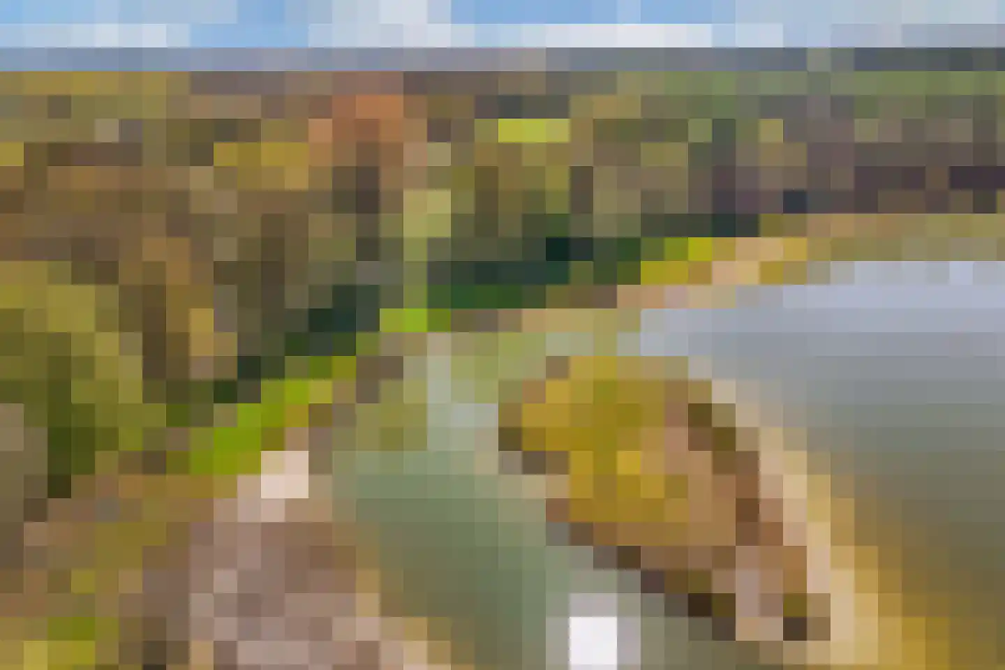 Het Bosmeer 72 Noordwolde thumbnail 43