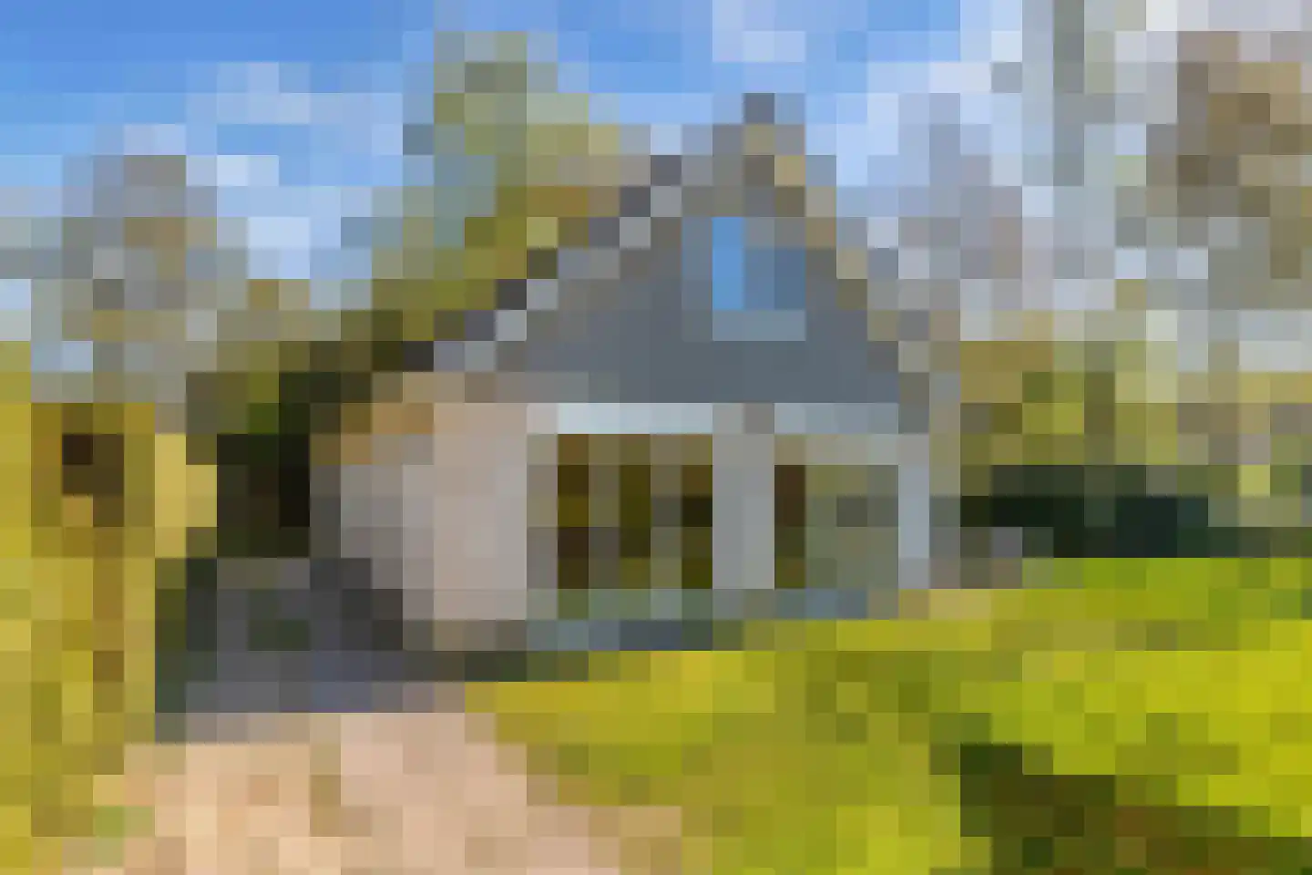 Het Bosmeer 72 Noordwolde thumbnail 44