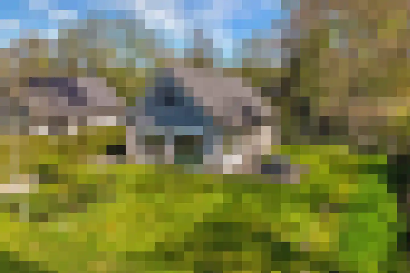 Het Bosmeer 72 Noordwolde thumbnail 45