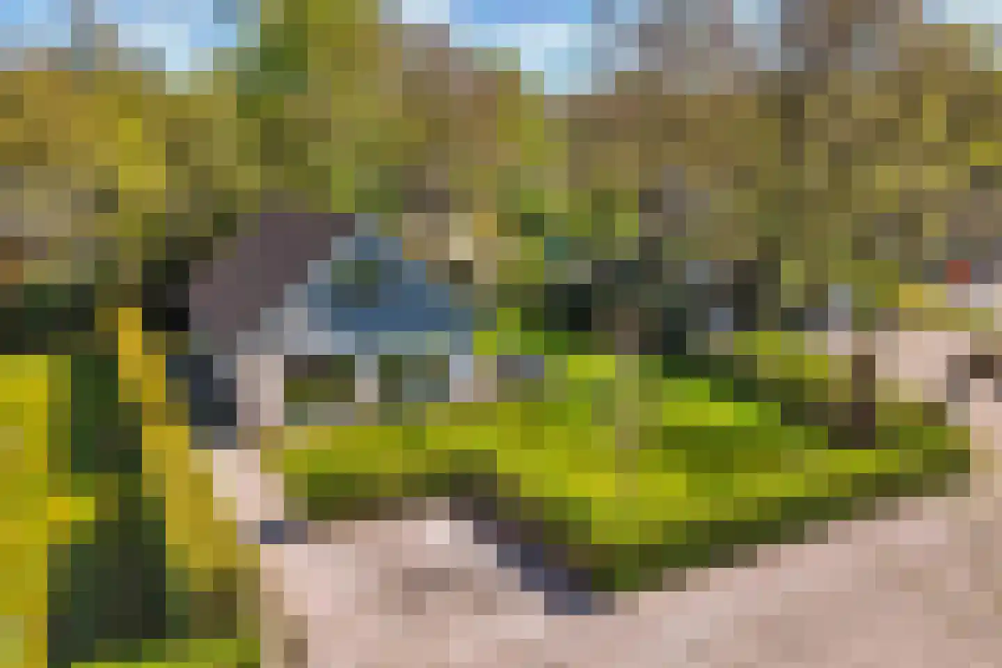 Het Bosmeer 72 Noordwolde thumbnail 46