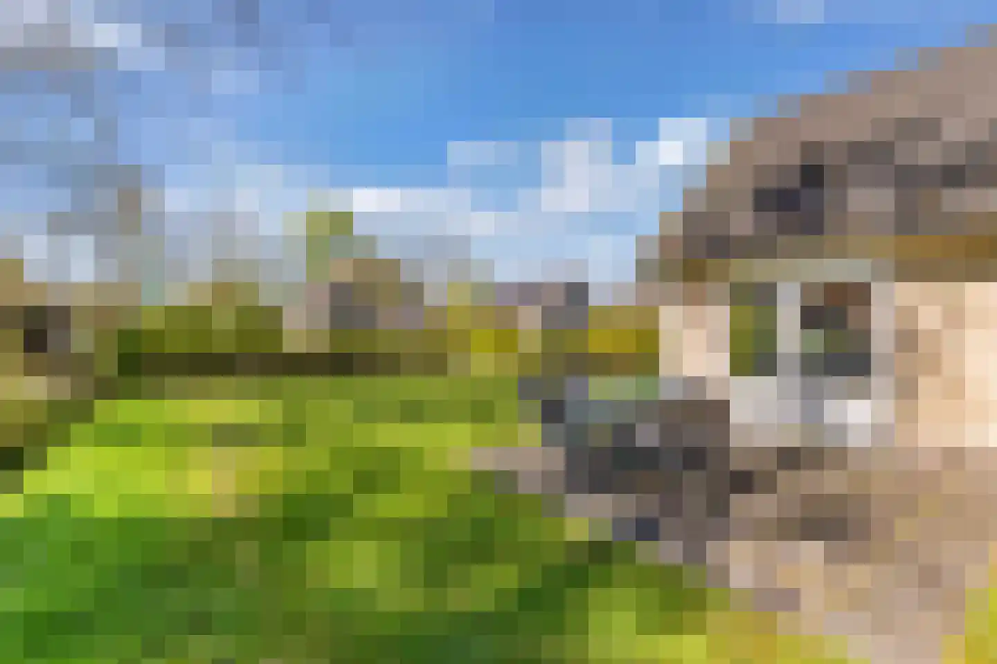 Het Bosmeer 72 Noordwolde thumbnail 47