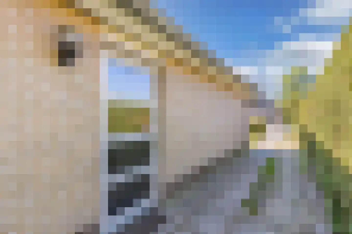 Het Bosmeer 72 Noordwolde thumbnail 48
