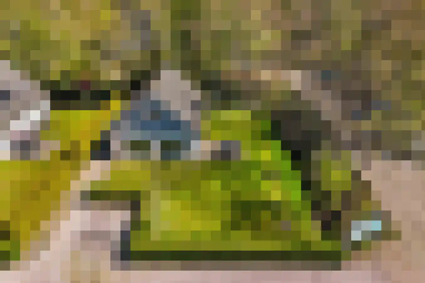 Het Bosmeer 72 Noordwolde thumbnail 5