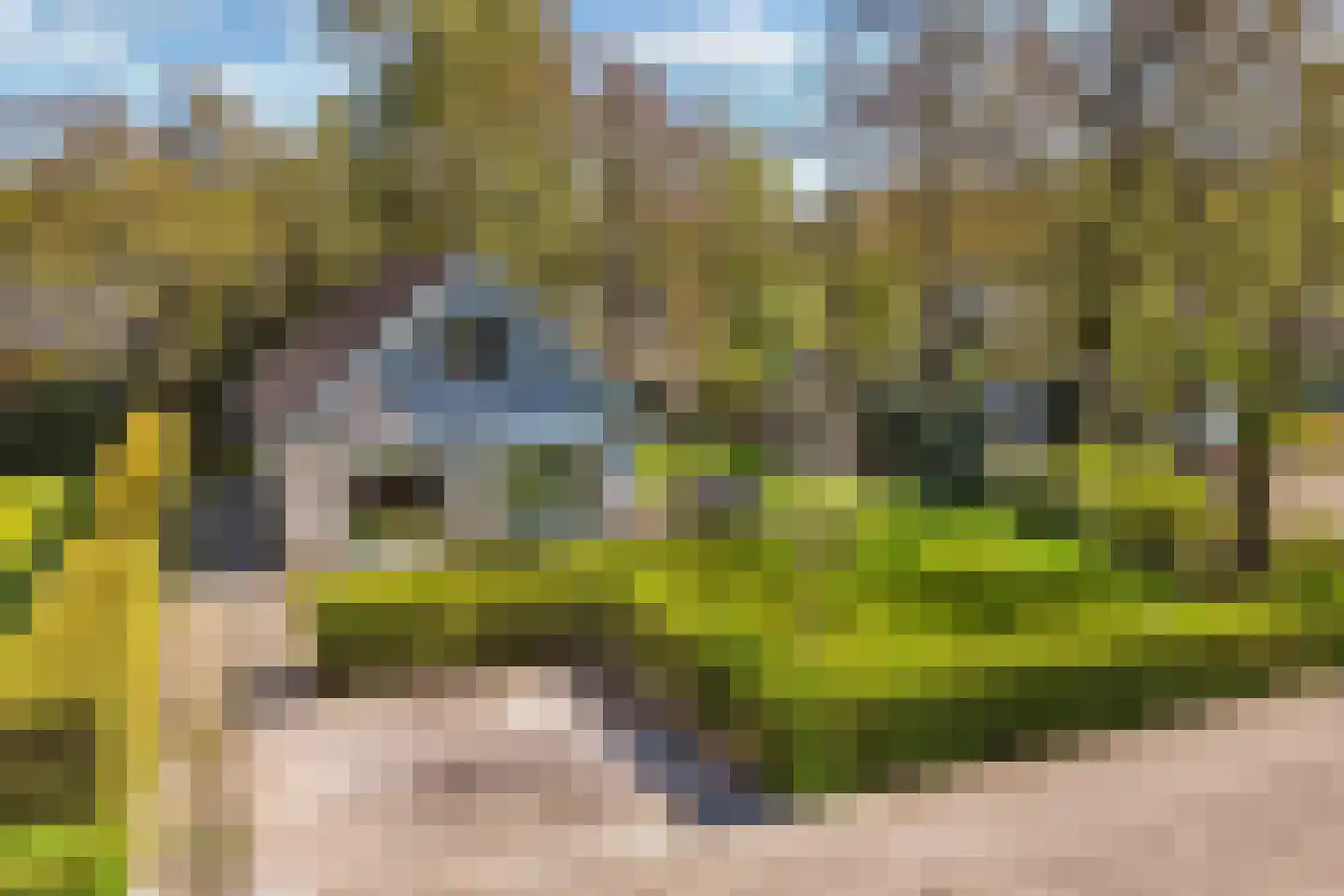 Het Bosmeer 72 Noordwolde thumbnail 50