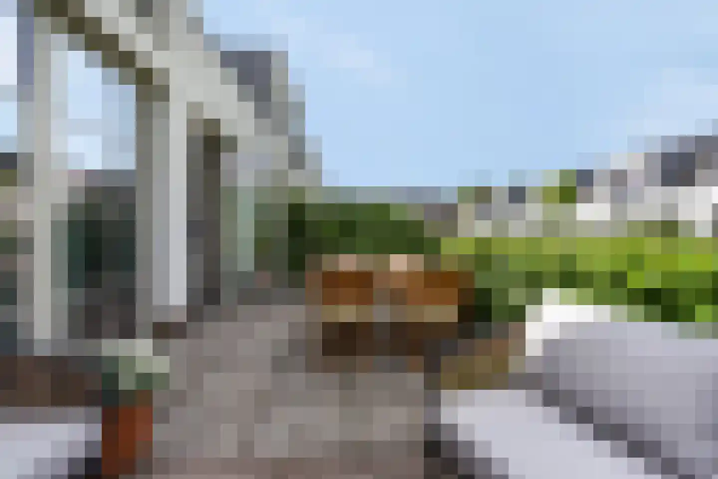 Het Bouwfonds 62 Hoevelaken thumbnail 39