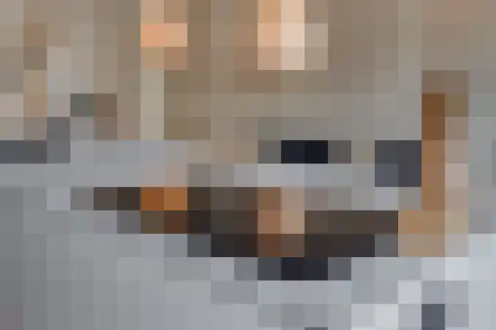 Het Bouwfonds 66 Hoevelaken thumbnail 15
