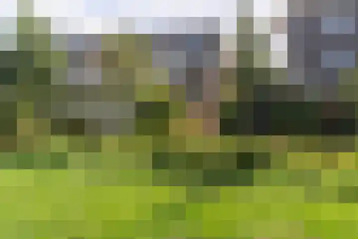 Het Bouwfonds 66 Hoevelaken thumbnail 32