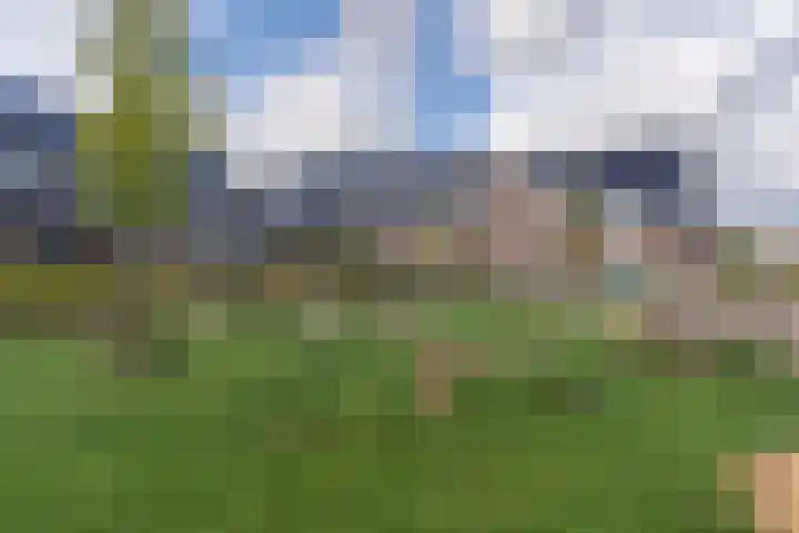 Het Bouwfonds 66 Hoevelaken thumbnail 35