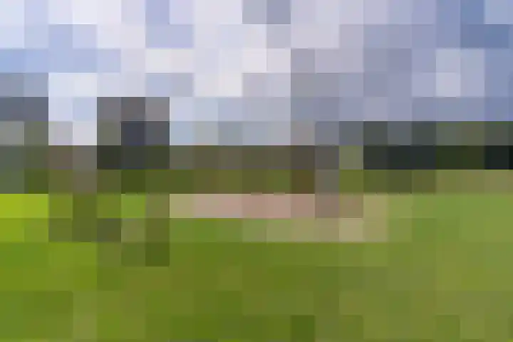 Het Bouwfonds 66 Hoevelaken thumbnail 36
