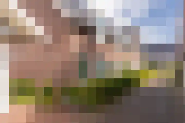 Het Bouwfonds 66 Hoevelaken thumbnail 6