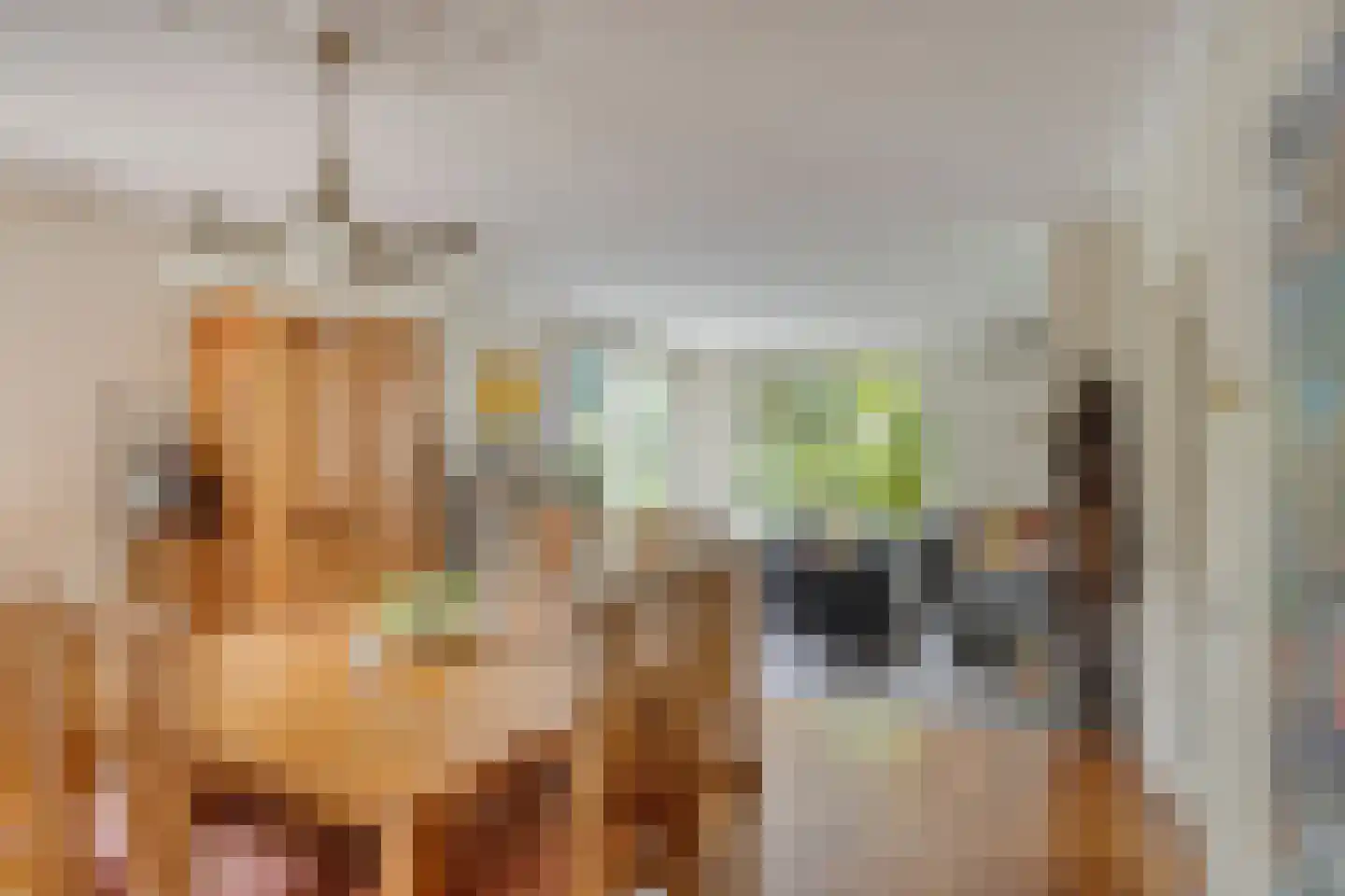het Bovenwiel 14 Oirschot thumbnail 10