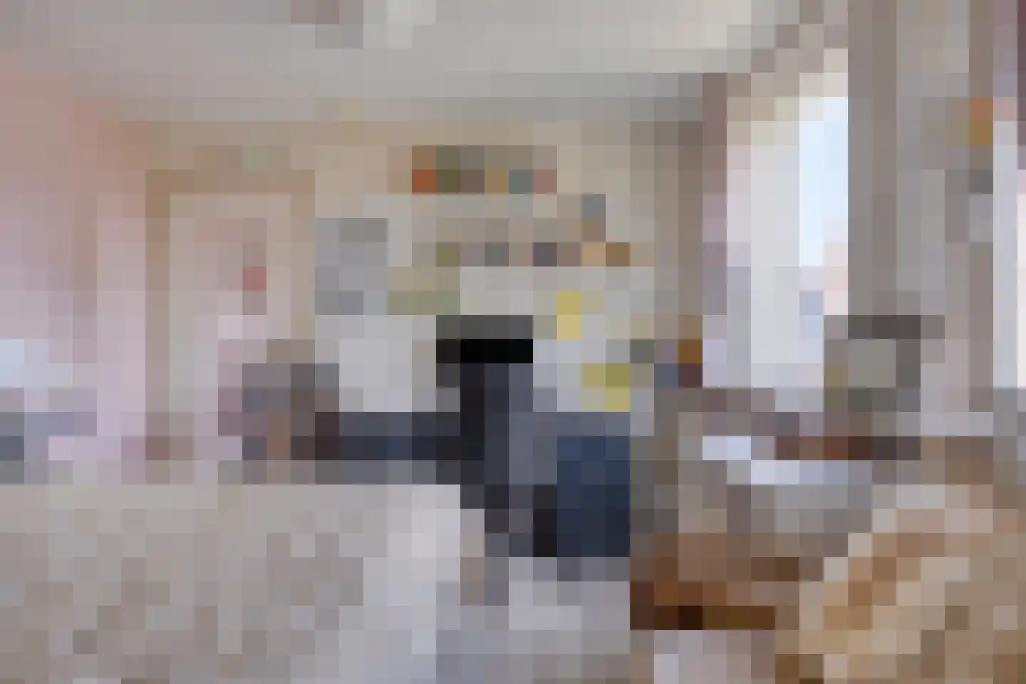 het Bovenwiel 14 Oirschot thumbnail 21