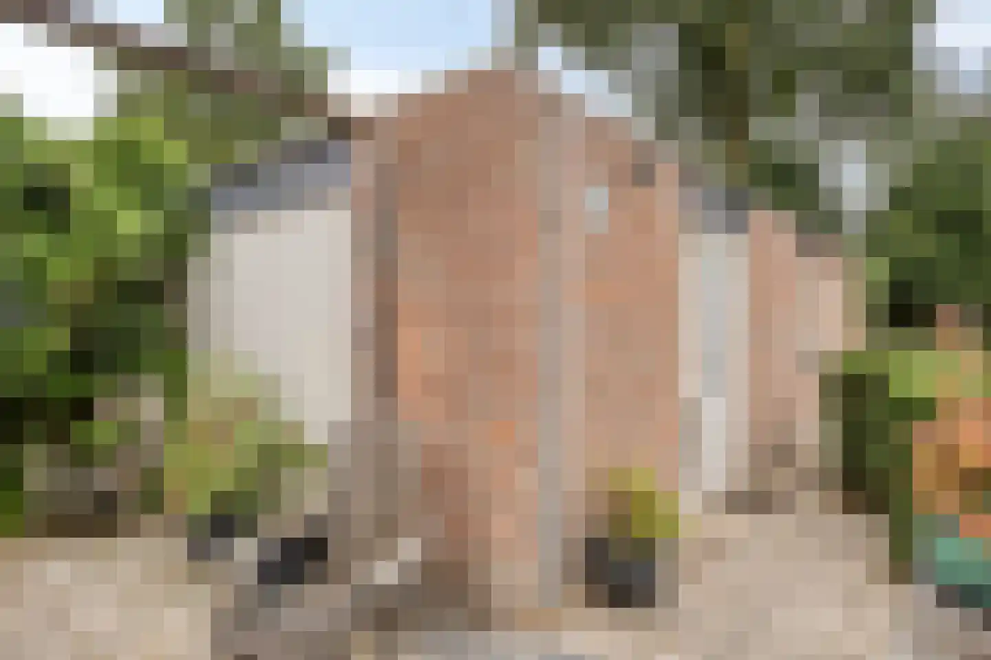 het Bovenwiel 14 Oirschot thumbnail 33