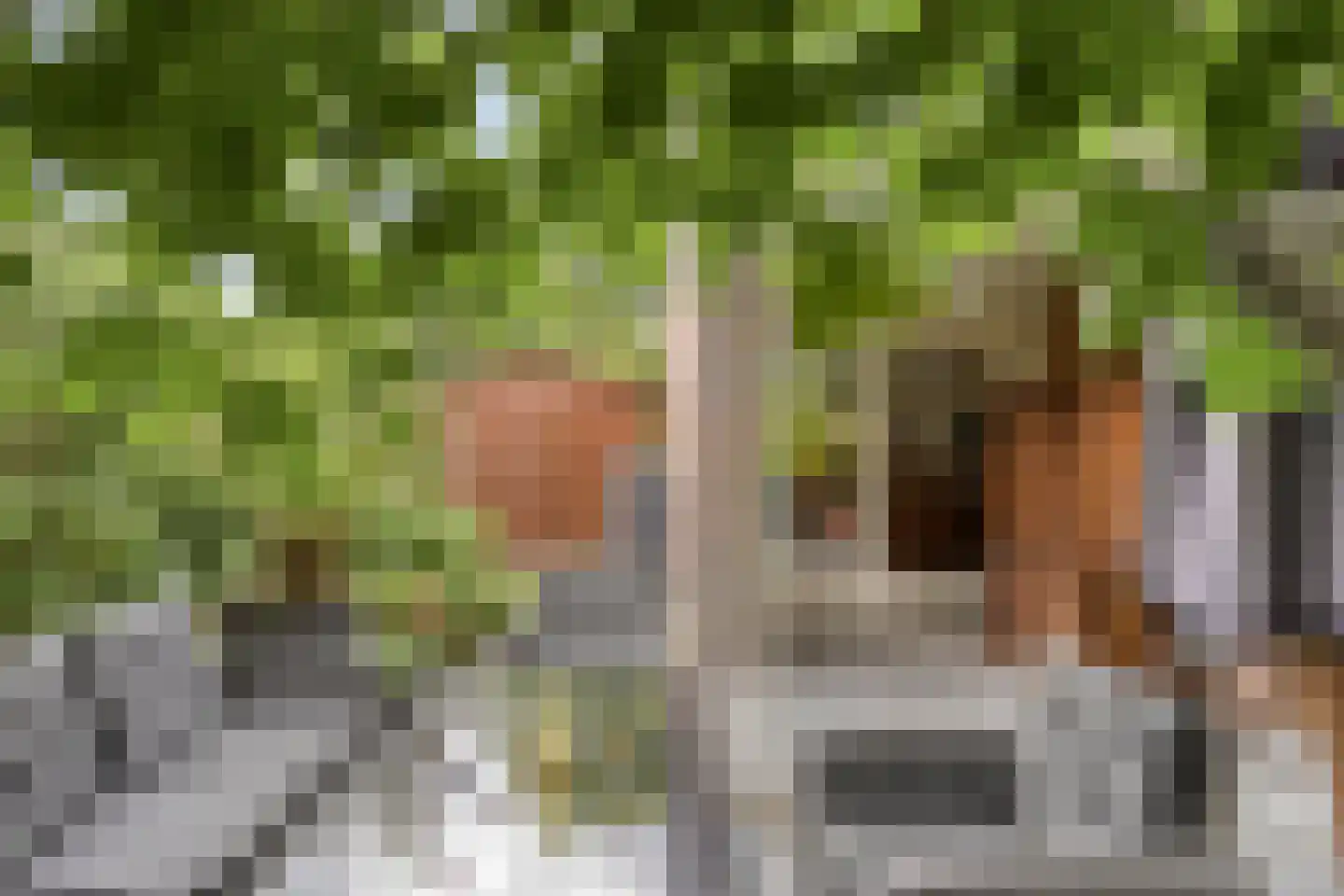 het Bovenwiel 14 Oirschot thumbnail 34