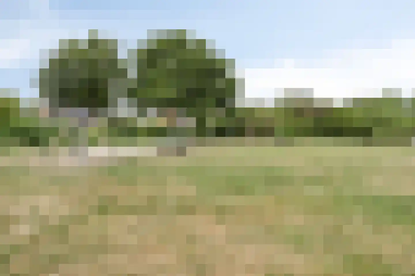 het Bovenwiel 14 Oirschot thumbnail 35
