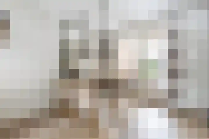 het Bovenwiel 15 Oirschot thumbnail 15