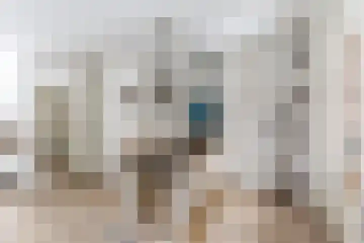 het Bovenwiel 15 Oirschot thumbnail 16