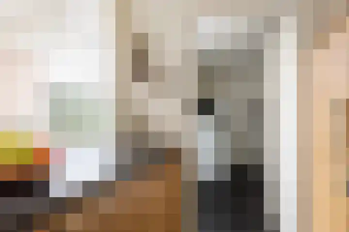 het Bovenwiel 15 Oirschot thumbnail 22