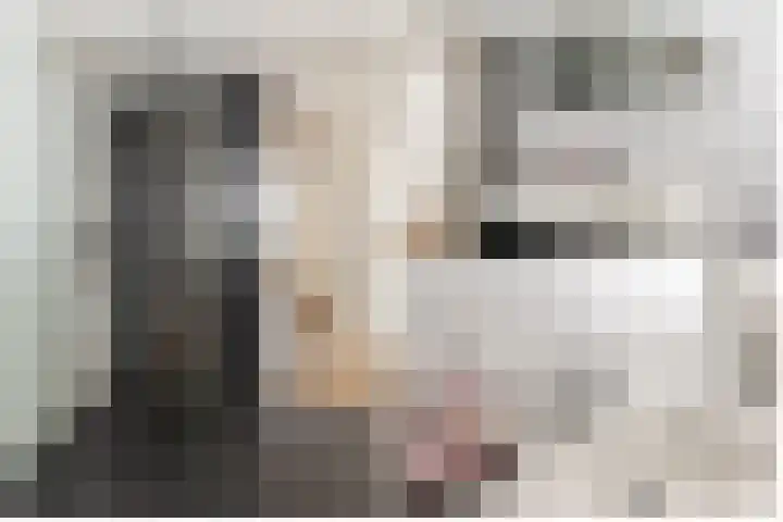 het Bovenwiel 15 Oirschot thumbnail 32
