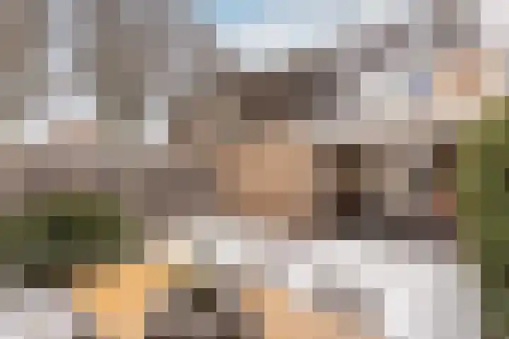 het Bovenwiel 15 Oirschot thumbnail 38