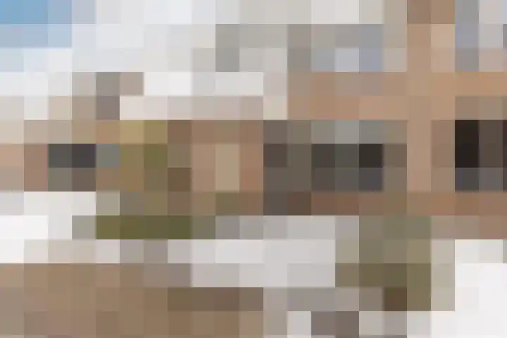 het Bovenwiel 15 Oirschot thumbnail 6