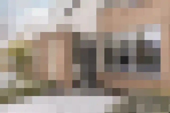 het Bovenwiel 15 Oirschot thumbnail 7